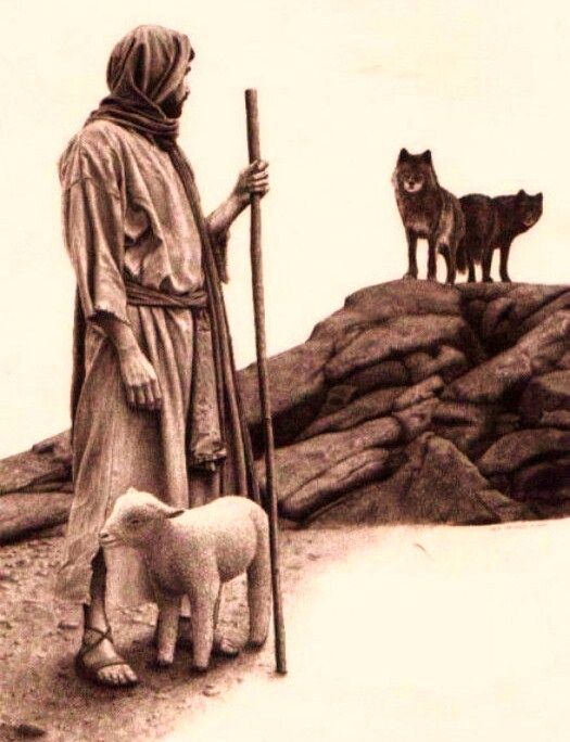 Thief Riding Sheep Part Three: The Shepherd and the Thief – dailyarmor.blog